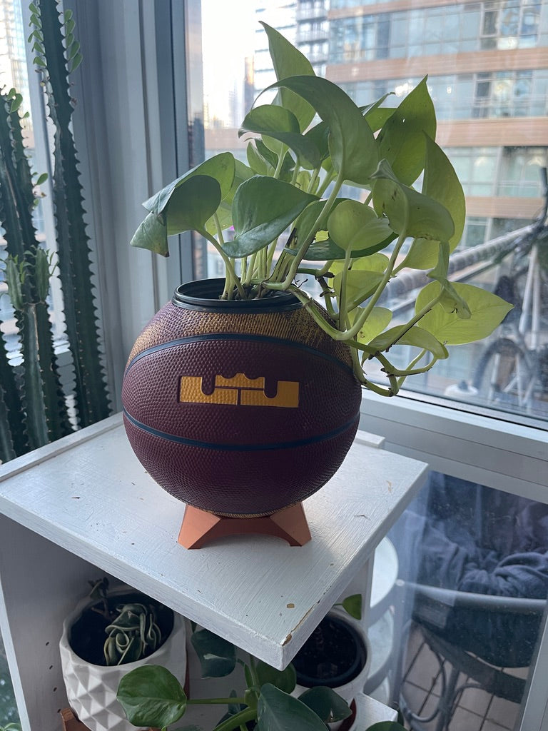 Nike Mini Basketball Planter (Lebron James)
