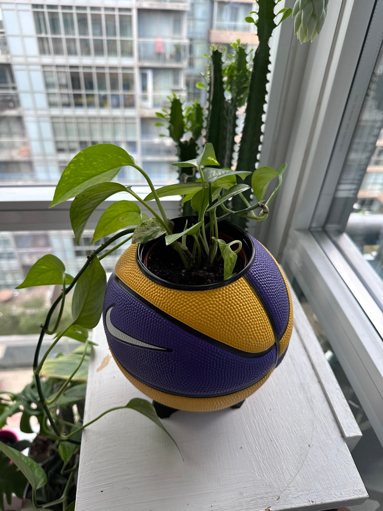 Nike Mini Basketball Planter (Purple & Yellow)