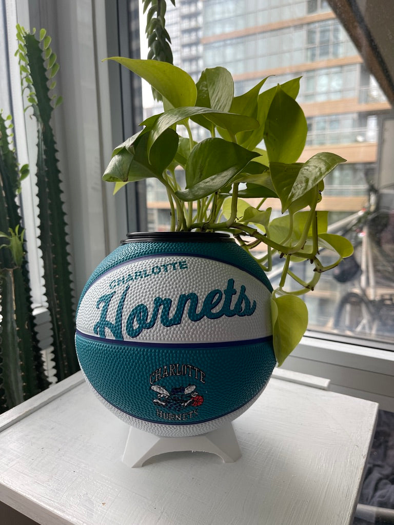 Mini Basketball Planter (Charlotte Hornets)