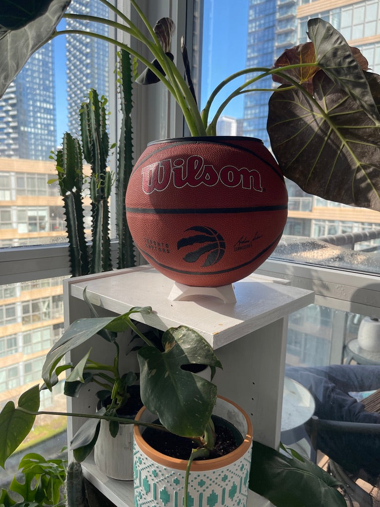 Large Basketball Planter (Toronto Raptors Original)