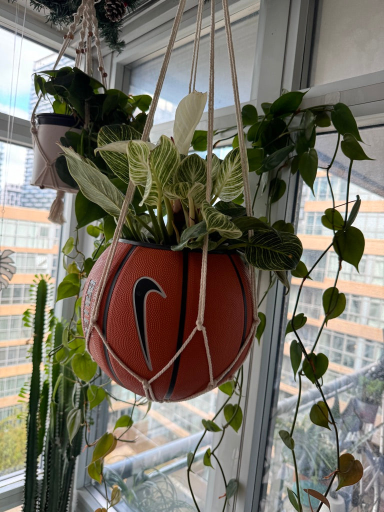 Nike Large Basketball Hanging Planter (White Macrame - Original Reversed)