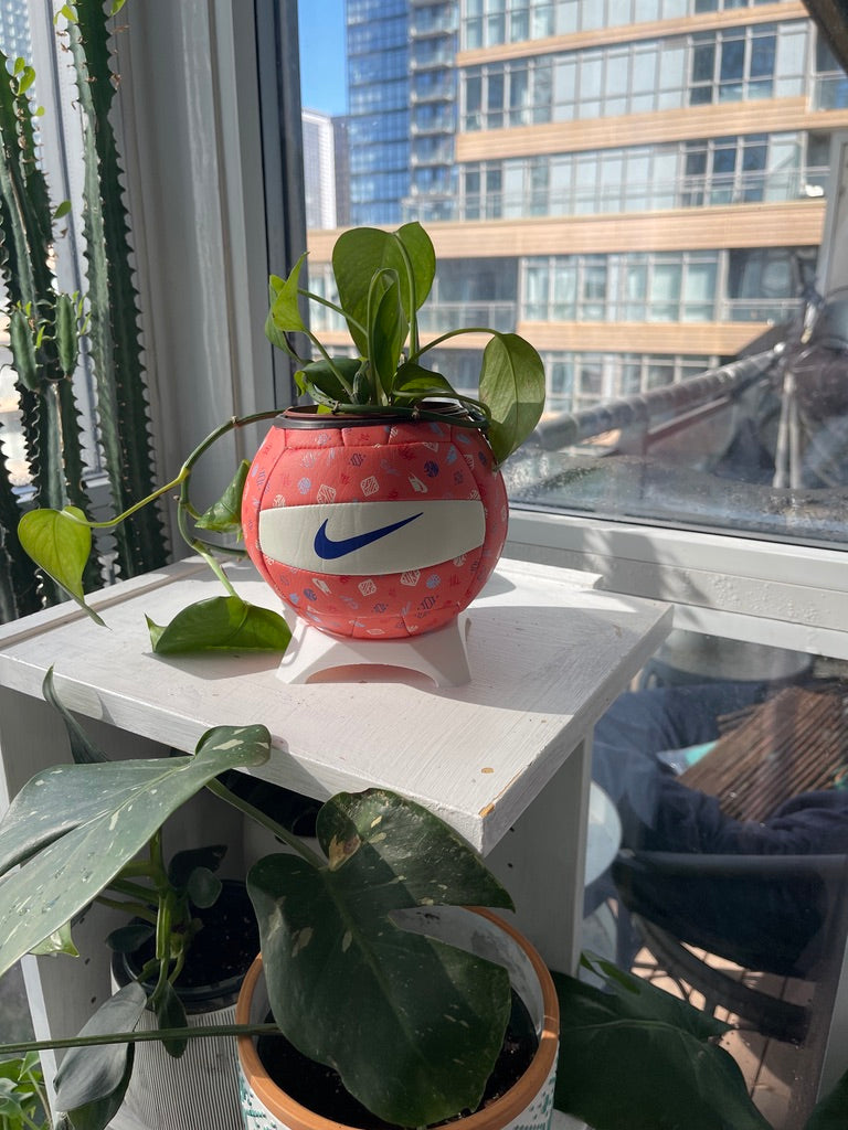 Nike Mini Volleyball Planter (Peach Pit)