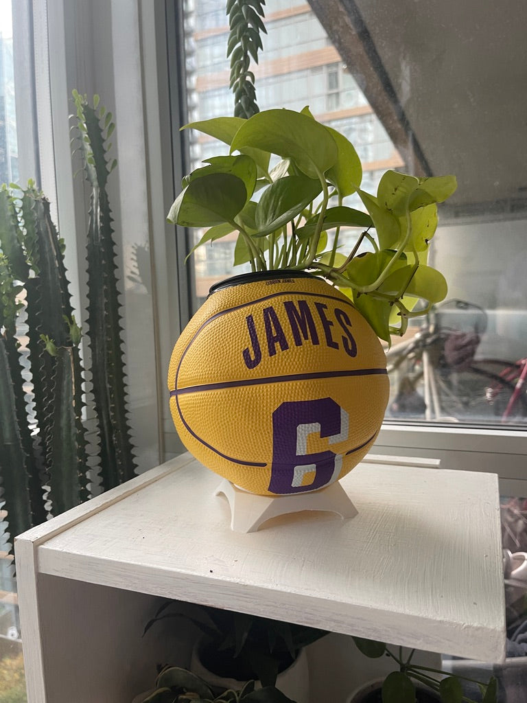 Mini Basketball Planter (Lebron James)