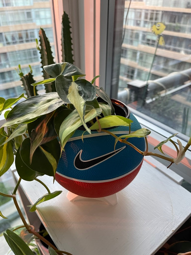 Nike Mini Basketball Planter (Team Orange)