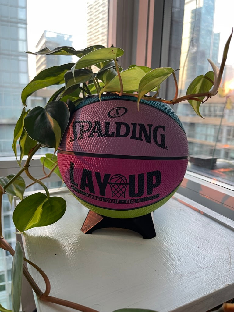 Mini Basketball Planter (Retro Lay Up)
