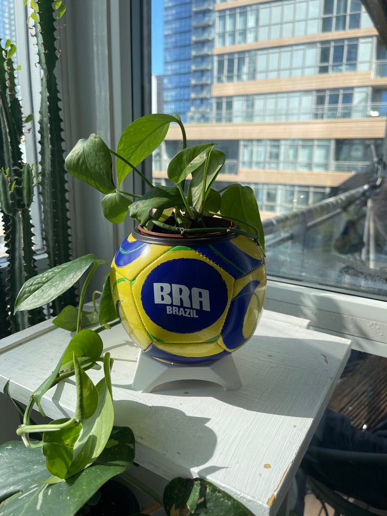 Mini Soccer Ball Planter (Brazil)