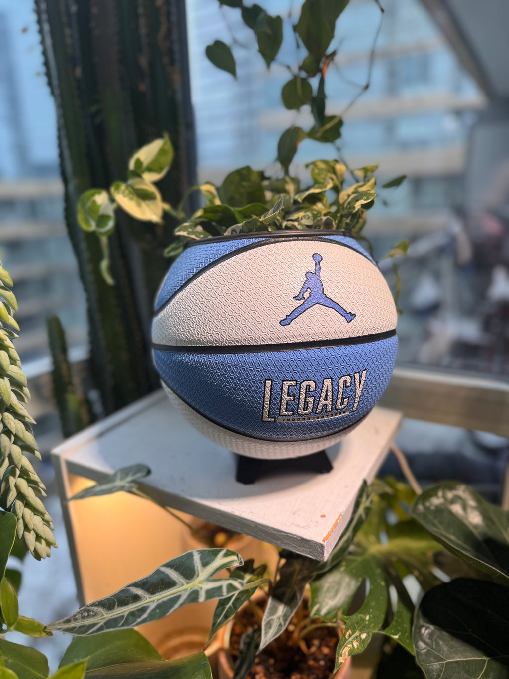 Nike Jordan Large Basketball Planter (UNC Blue & White)