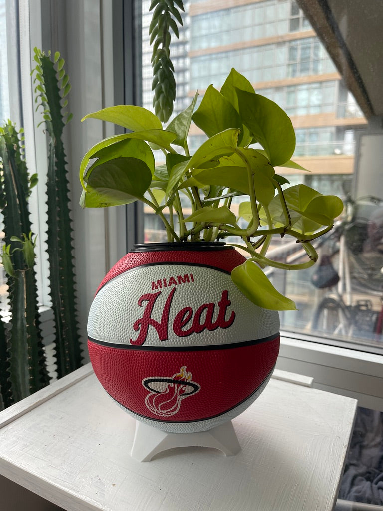 Mini Basketball Planter (Miami Heat)