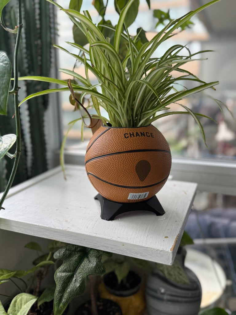 Ultra-Mini Basketball Planter (Reindeer)