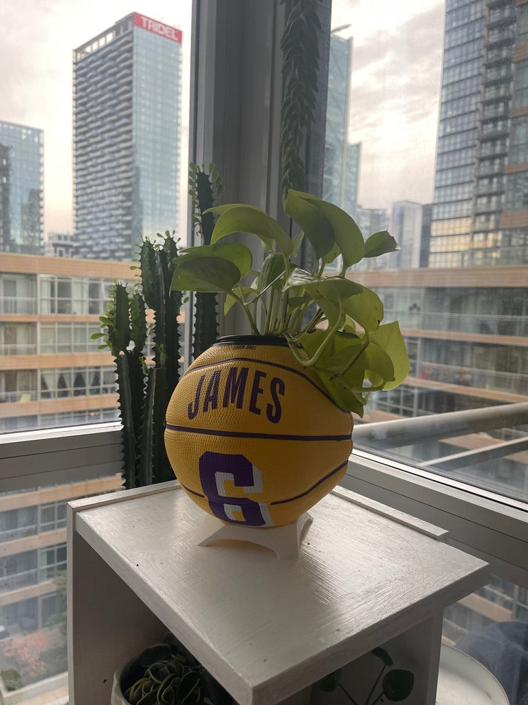 Mini Basketball Planter (Lebron James)