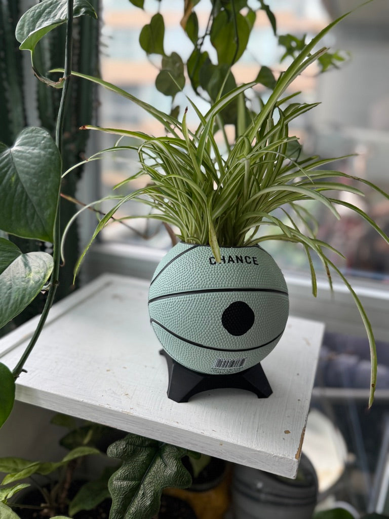 Ultra-Mini Basketball Planter (Mouse)