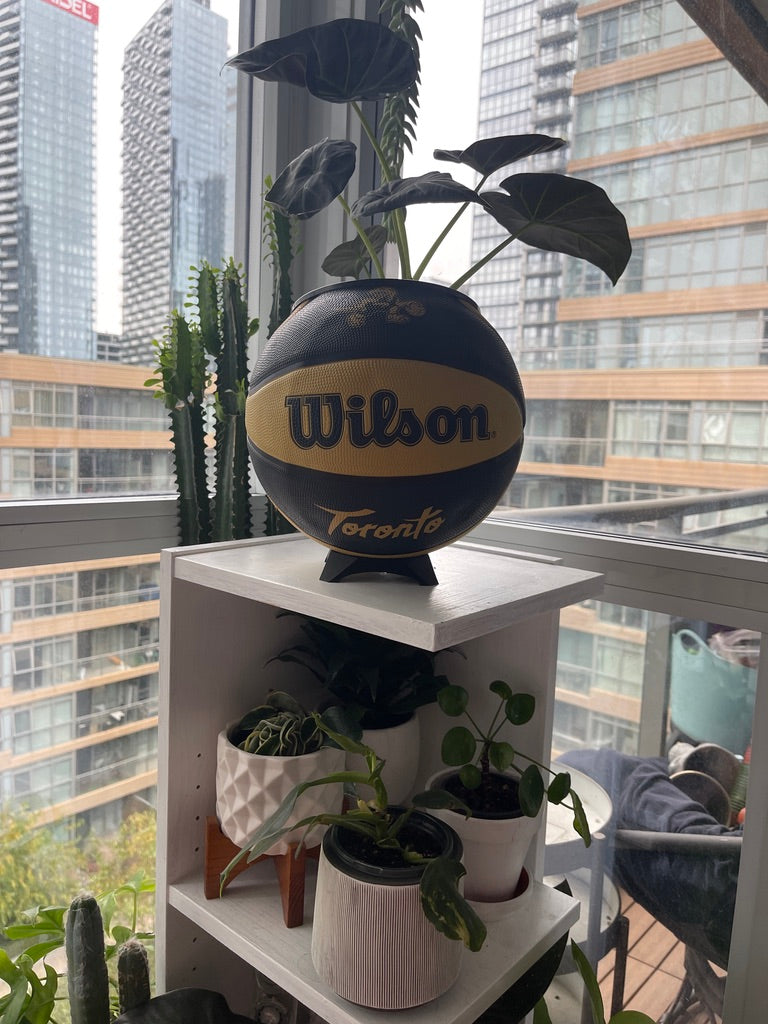 Large Basketball Planter (Toronto Raptors Gold Mascot)