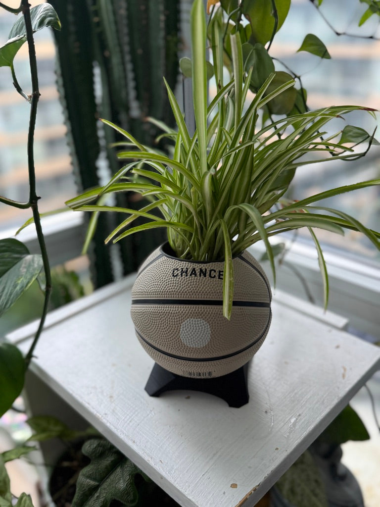 Ultra-Mini Basketball Planter (Bunny)