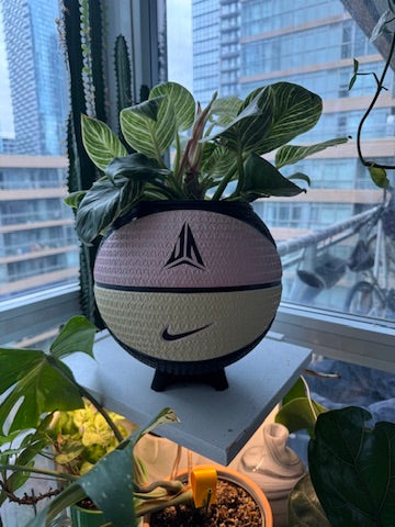 Nike Large Basketball Planter (Ja Morant Twelve Pink)