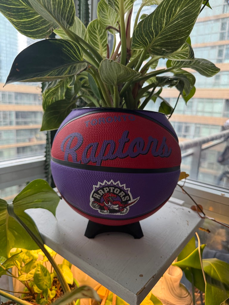 Large Basketball Planter (Toronto Raptors)