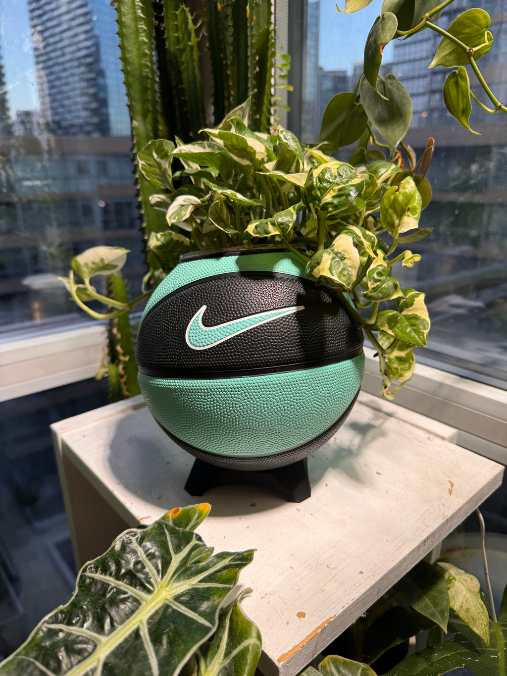 Nike Mini Basketball Planter (Tiff Blue & Black)