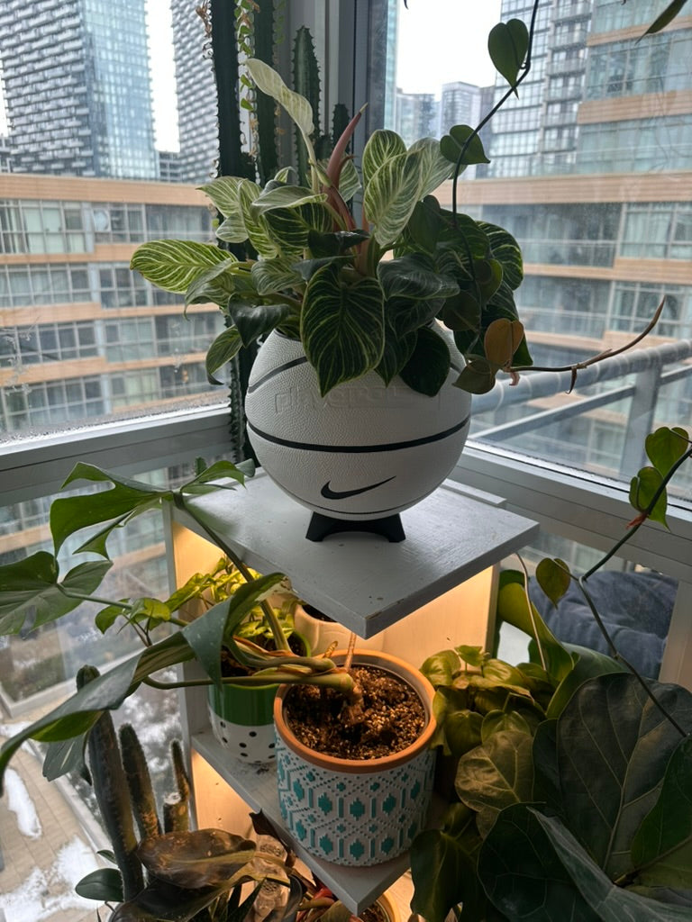 Nike Large Basketball Planter (White & Black)