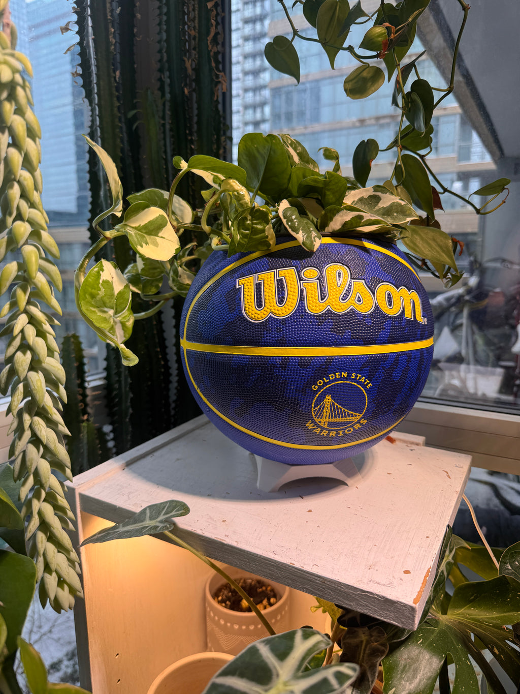 Large Basketball Planter (Golden State Warriors)