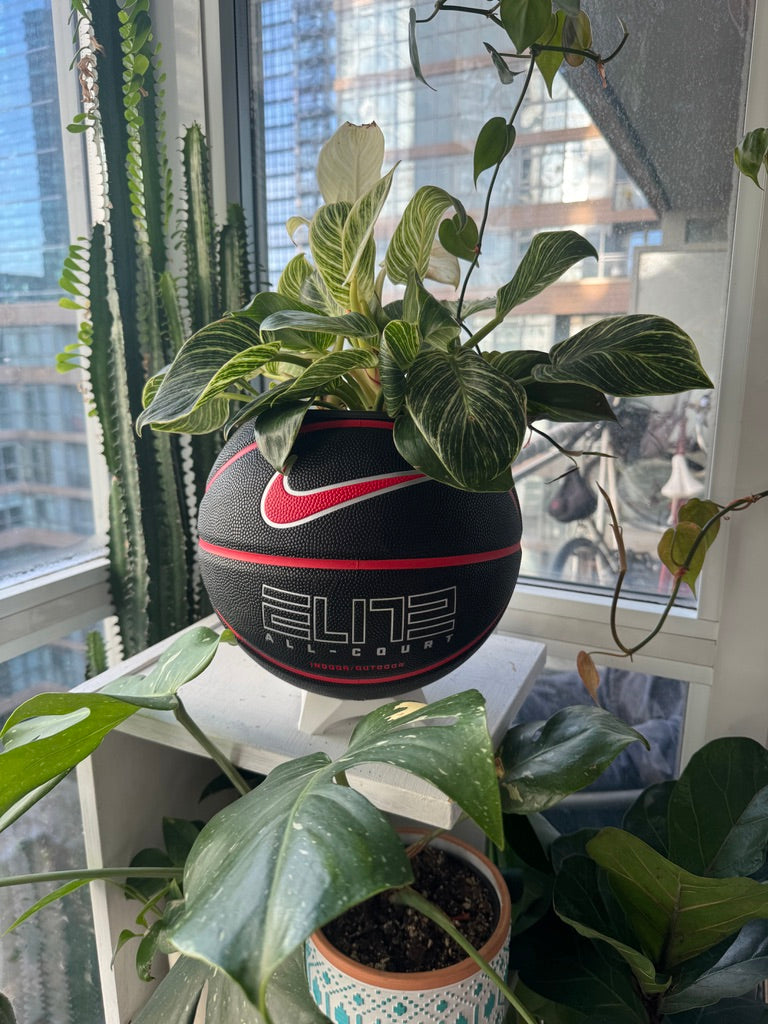 Nike Large Basketball Planter (Black & Red Elite)