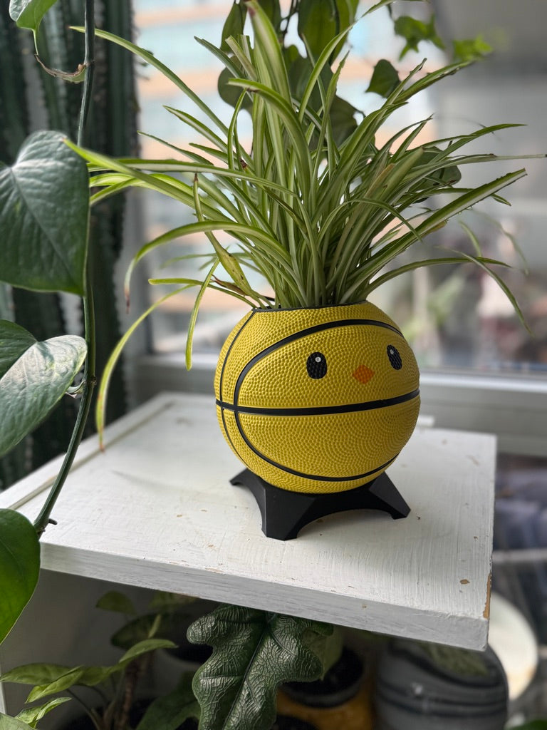 Ultra-Mini Basketball Planter (Chicken)