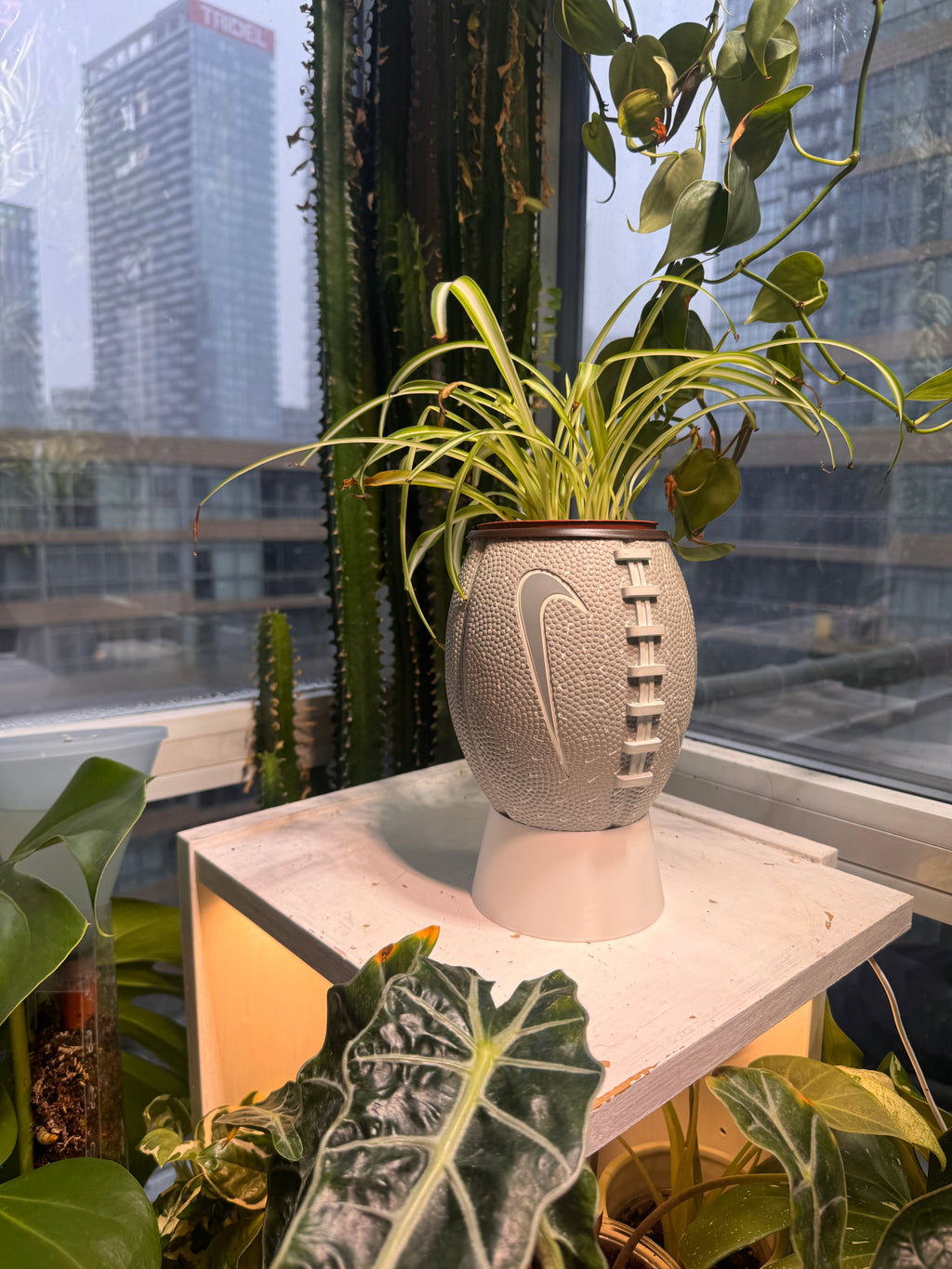 Nike Mini Football Planter (Grey)