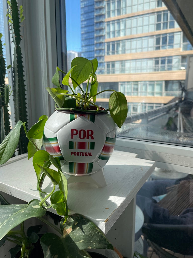 Mini Soccer Ball Planter (Portugal)