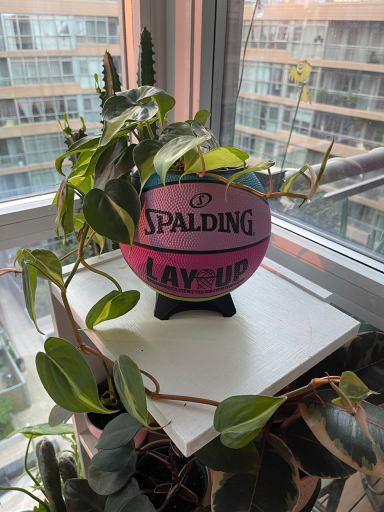 Mini Basketball Planter (Retro Lay Up)