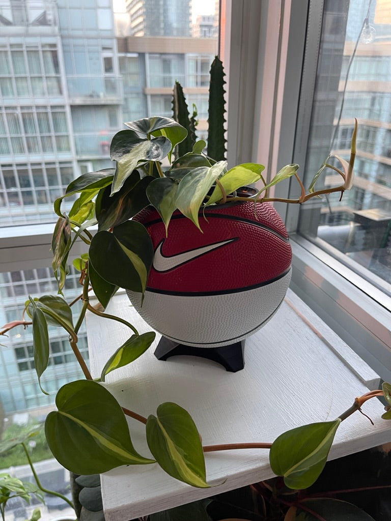 Nike Mini Basketball Planter (Red & White)
