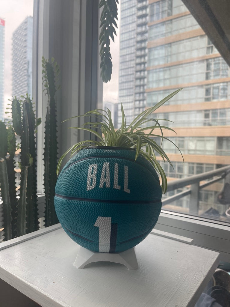Mini Basketball Planter (Lamelo Ball)