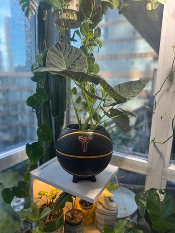 Nike Large Basketball Planter (Kobe Bryant Black)