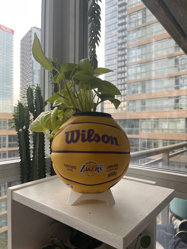 Mini Basketball Planter (Lebron James)