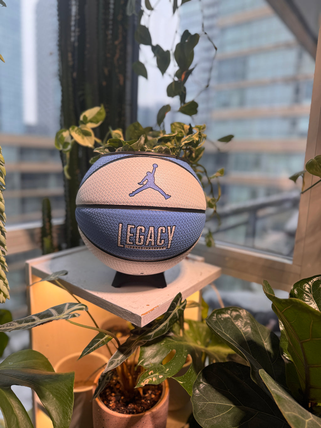 Nike Jordan Large Basketball Planter (UNC Blue & White)
