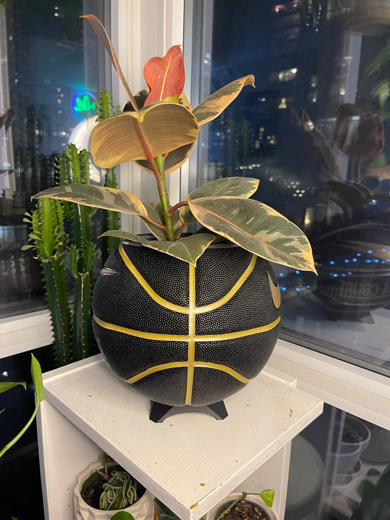 Nike Large Basketball Planter (Black & Gold All-Court)