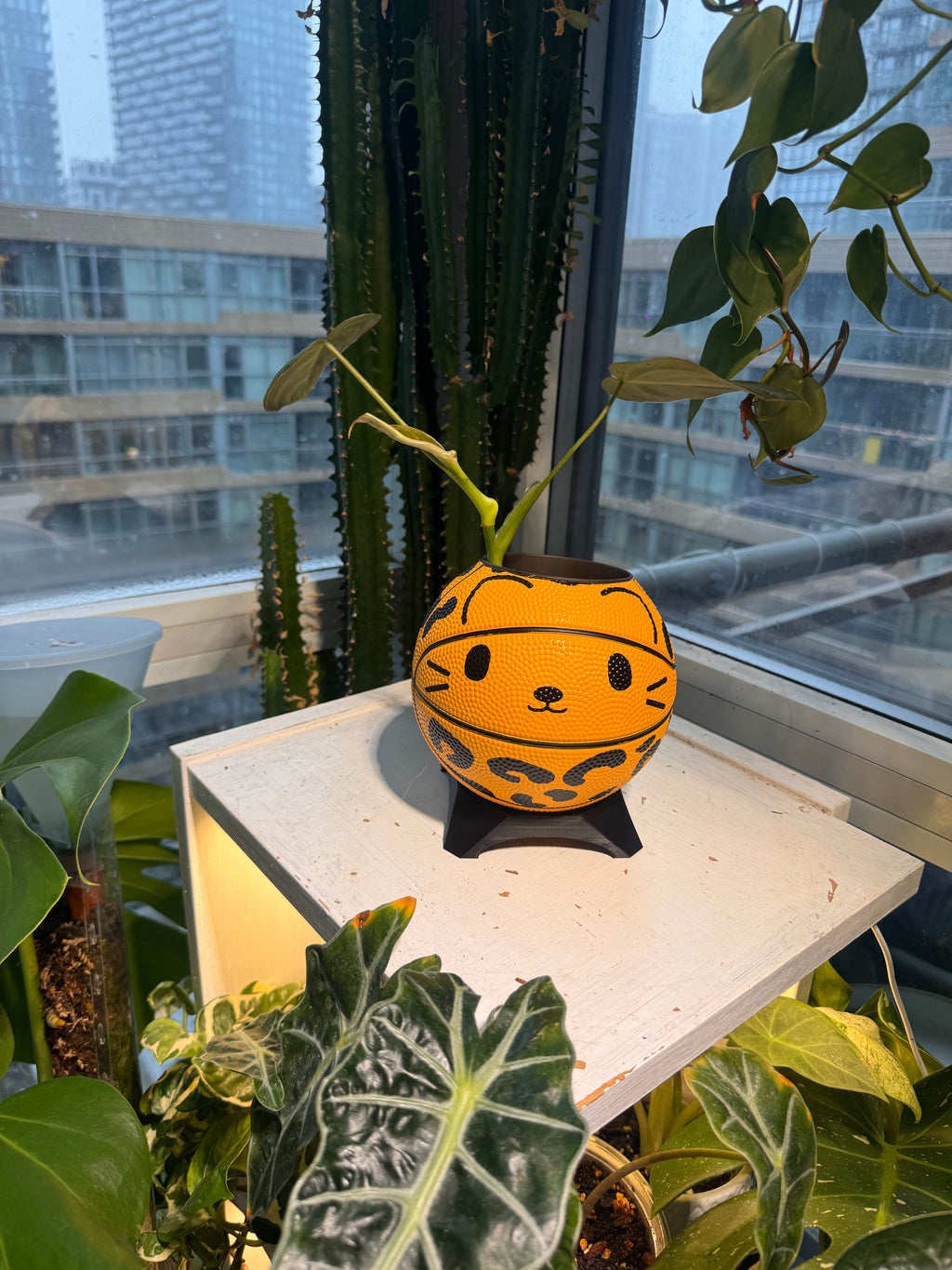Ultra-Mini Basketball Planter (Cheetah)