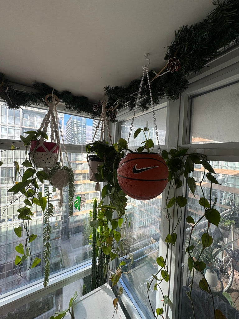 Nike Mini Basketball Hanging Planter (Silver Chain OG - Crystal)