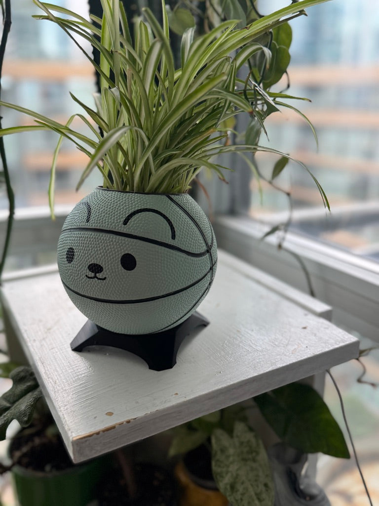 Ultra-Mini Basketball Planter (Mouse)