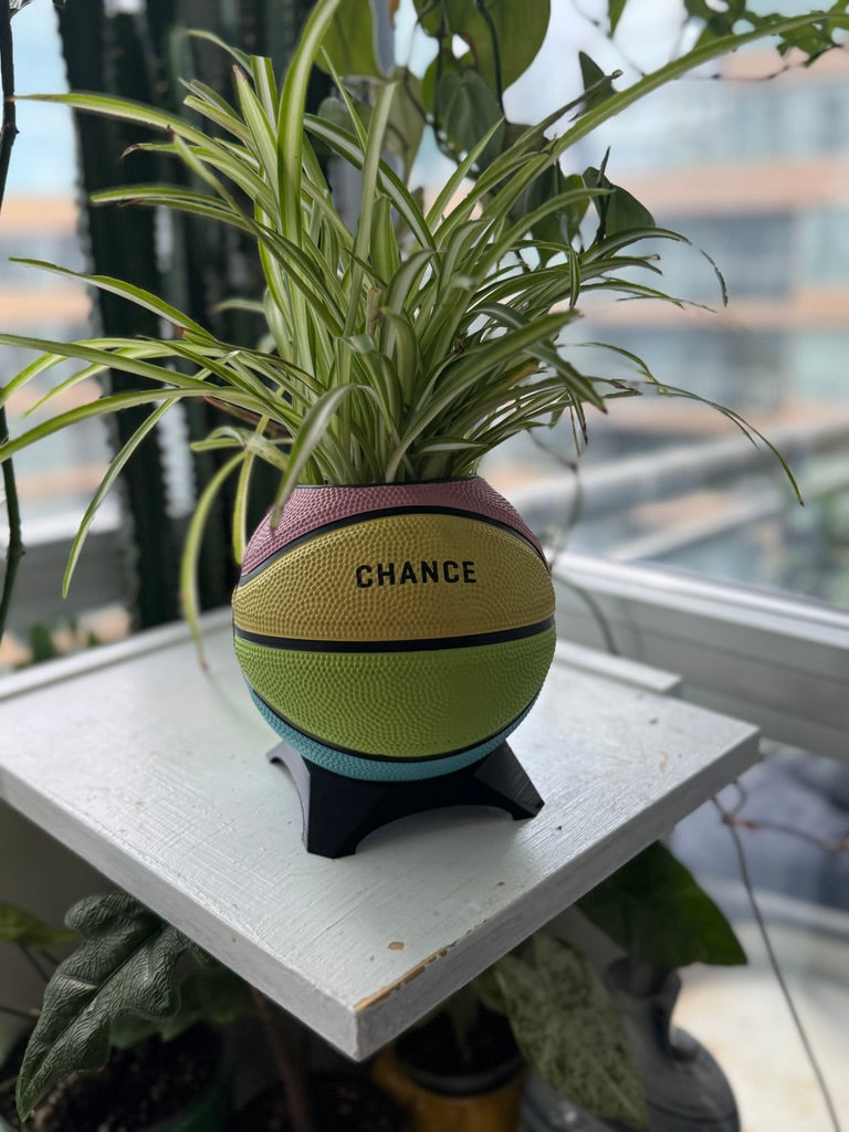 Ultra-Mini Basketball Planter (Sherbet Rainbow)