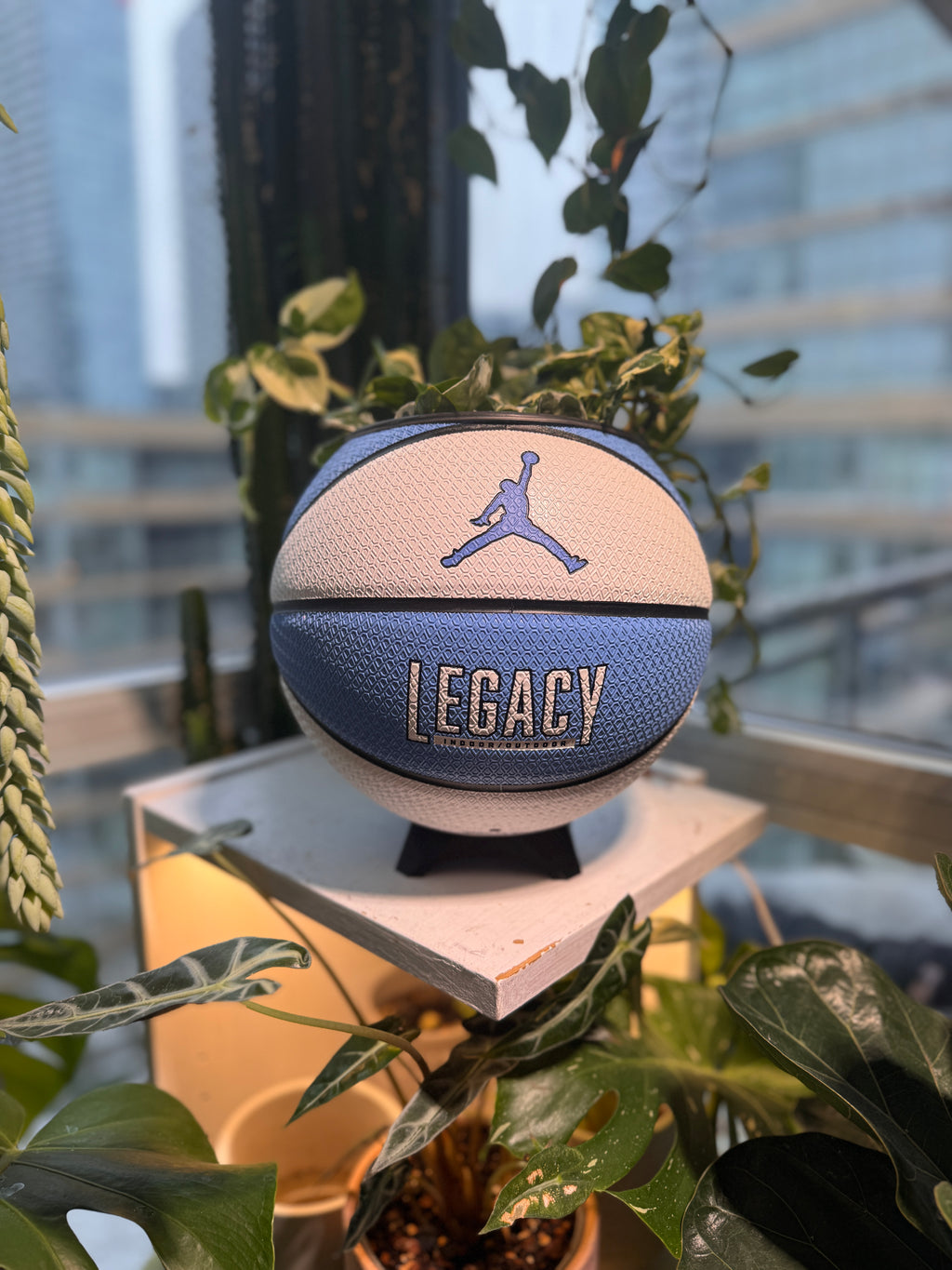 Nike Jordan Large Basketball Planter (UNC Blue & White)
