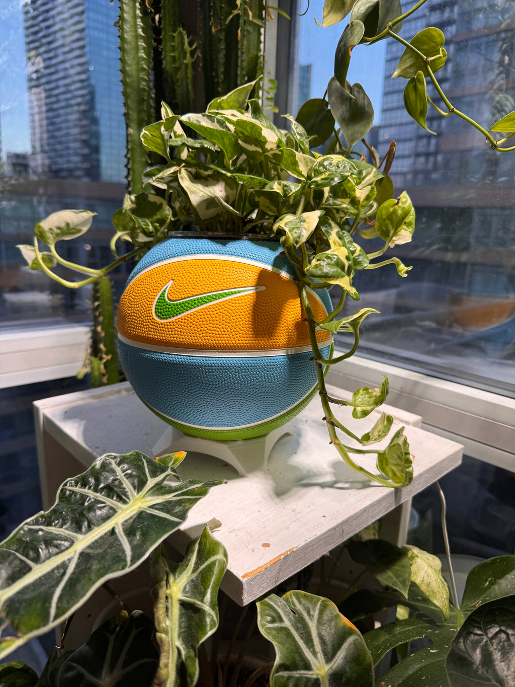 Nike Mini Basketball Planter (Blue Sunshine)