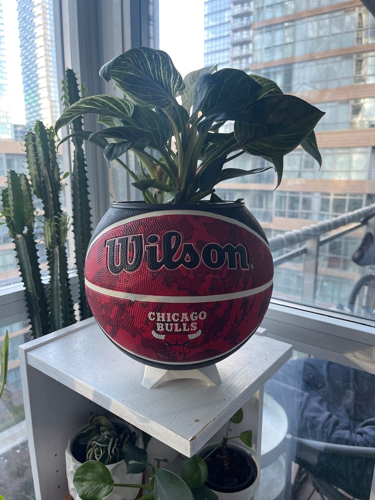 Large Basketball Planter (Chicago Bulls - Tie Dye)