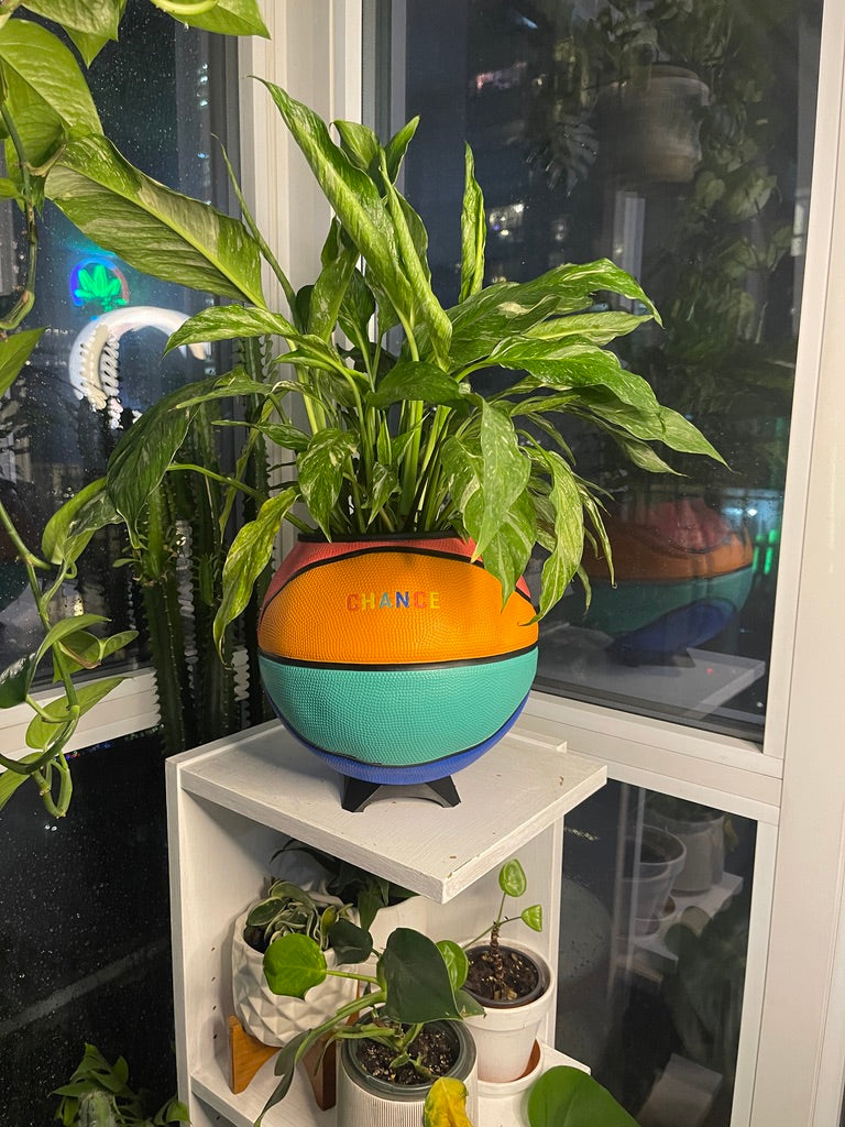 Large Basketball Planter (Chance - Rainbow)