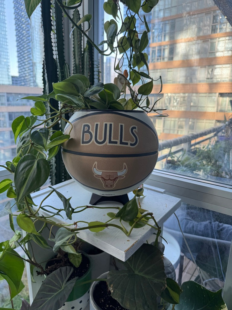 Large Basketball Planter (Chicago Bulls - Neutral)