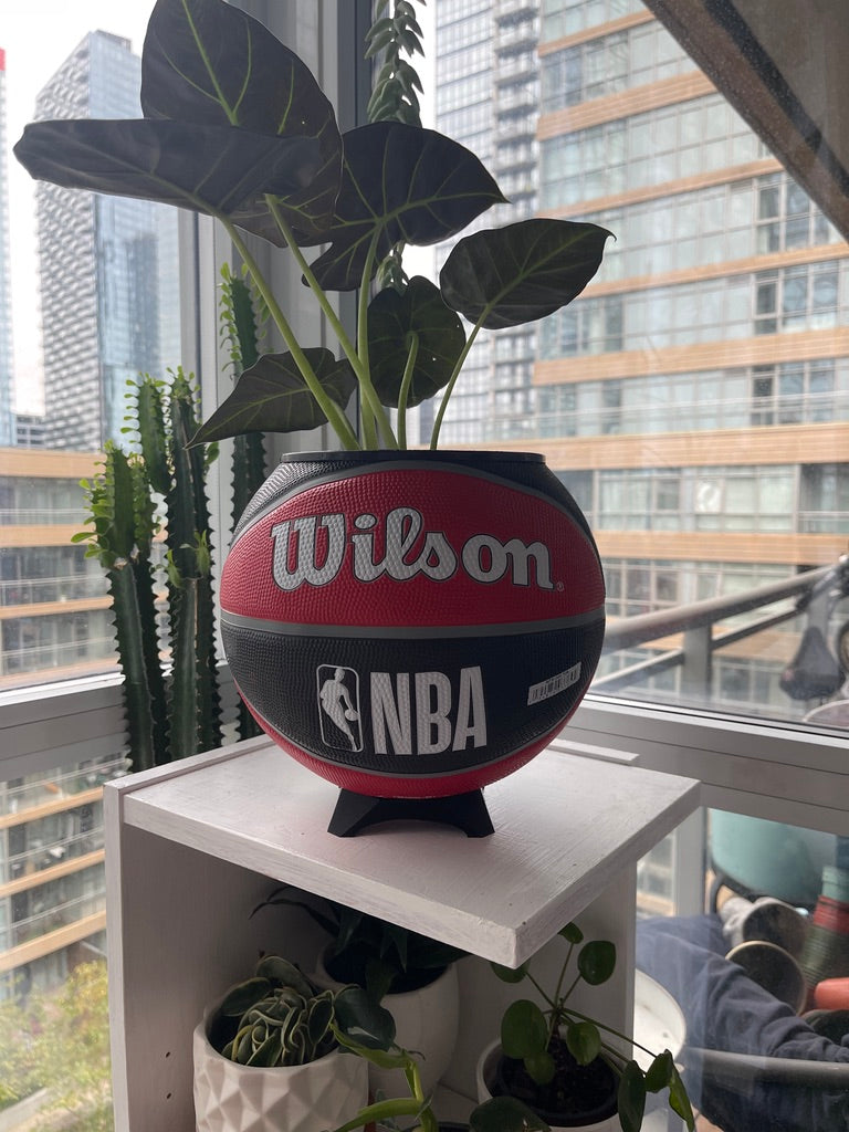 Large Basketball Planter (Toronto Raptors)