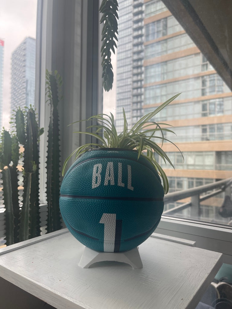 Mini Basketball Planter (Lamelo Ball)