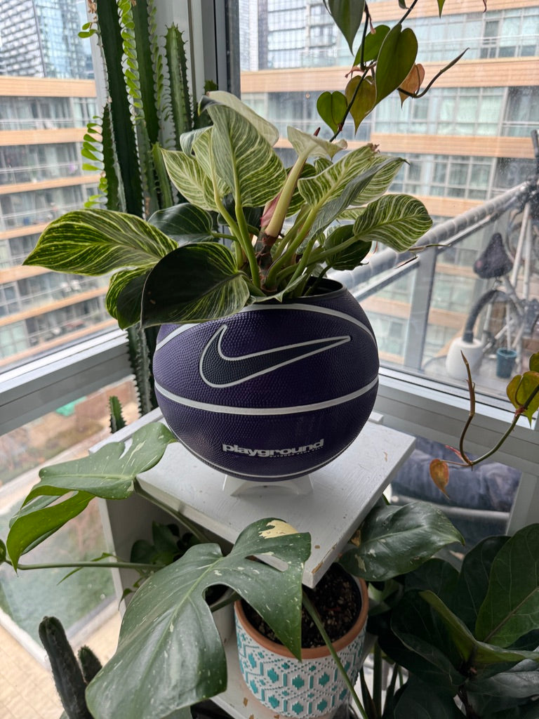 Nike Large Basketball Planter (Nike Purple)