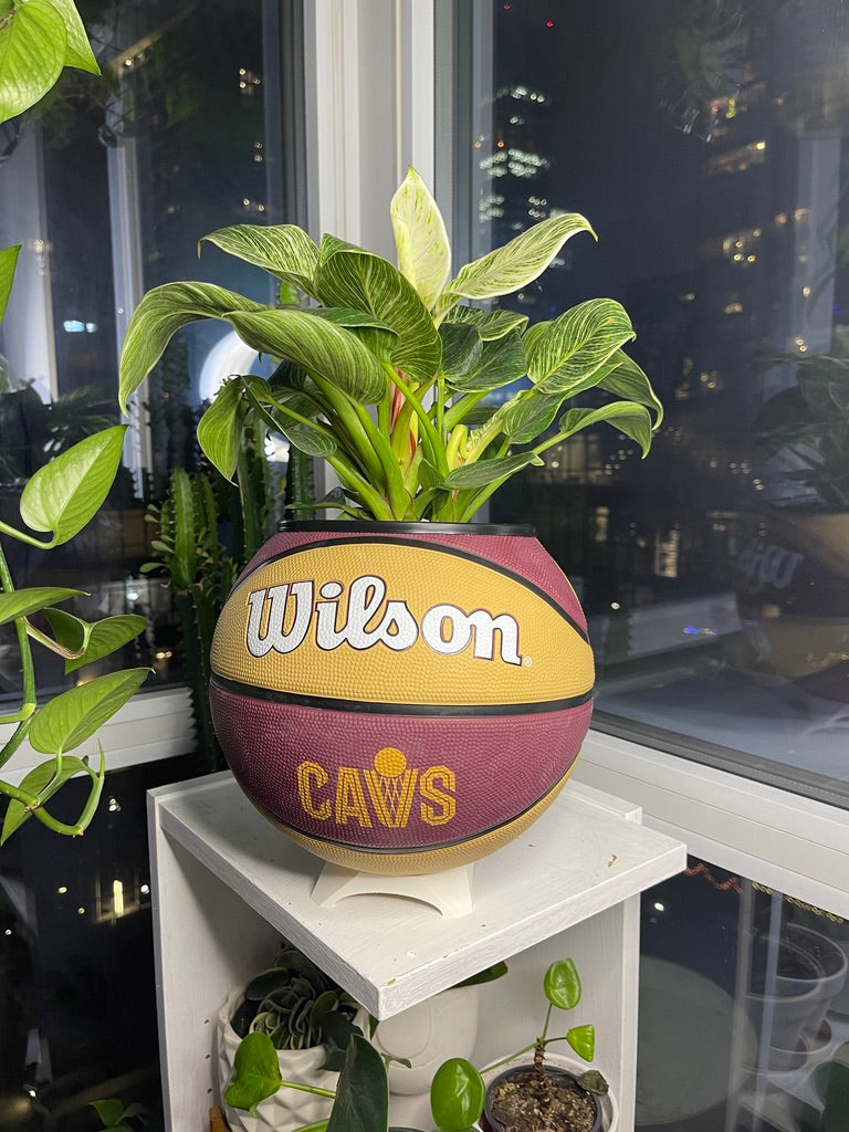 Large Basketball Planter (Cleveland Cavaliers)