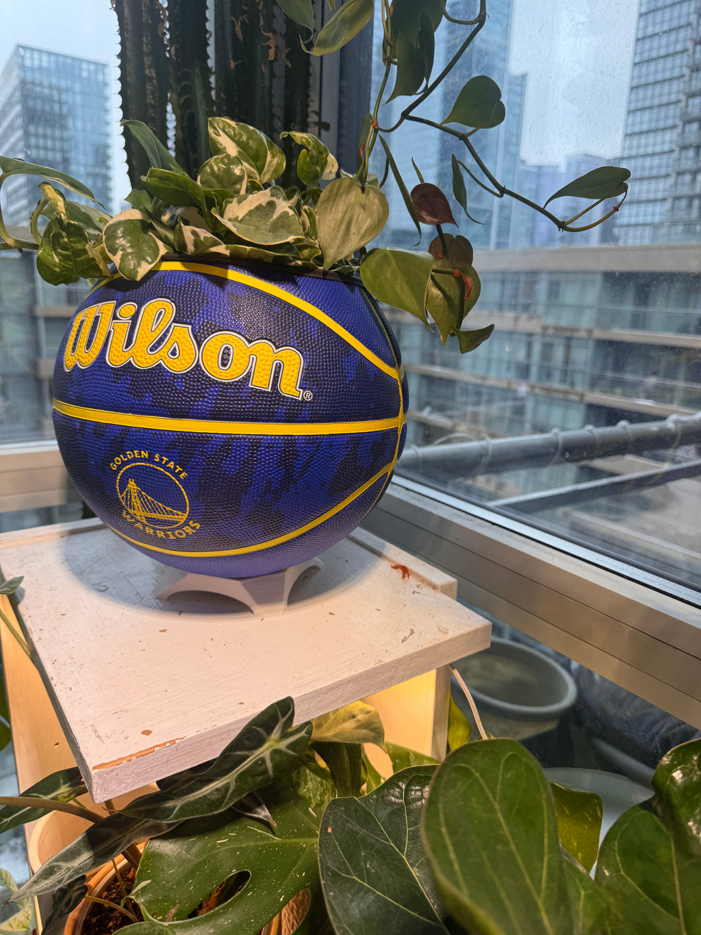 Large Basketball Planter (Golden State Warriors)