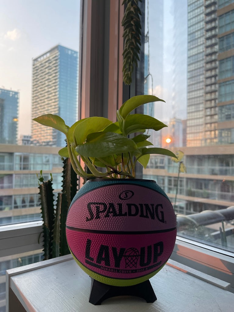 Mini Basketball Planter (Retro Lay Up)