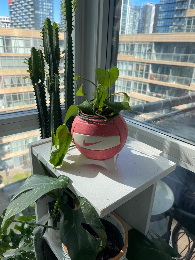 Nike Mini Volleyball Planter (Just Peachy)