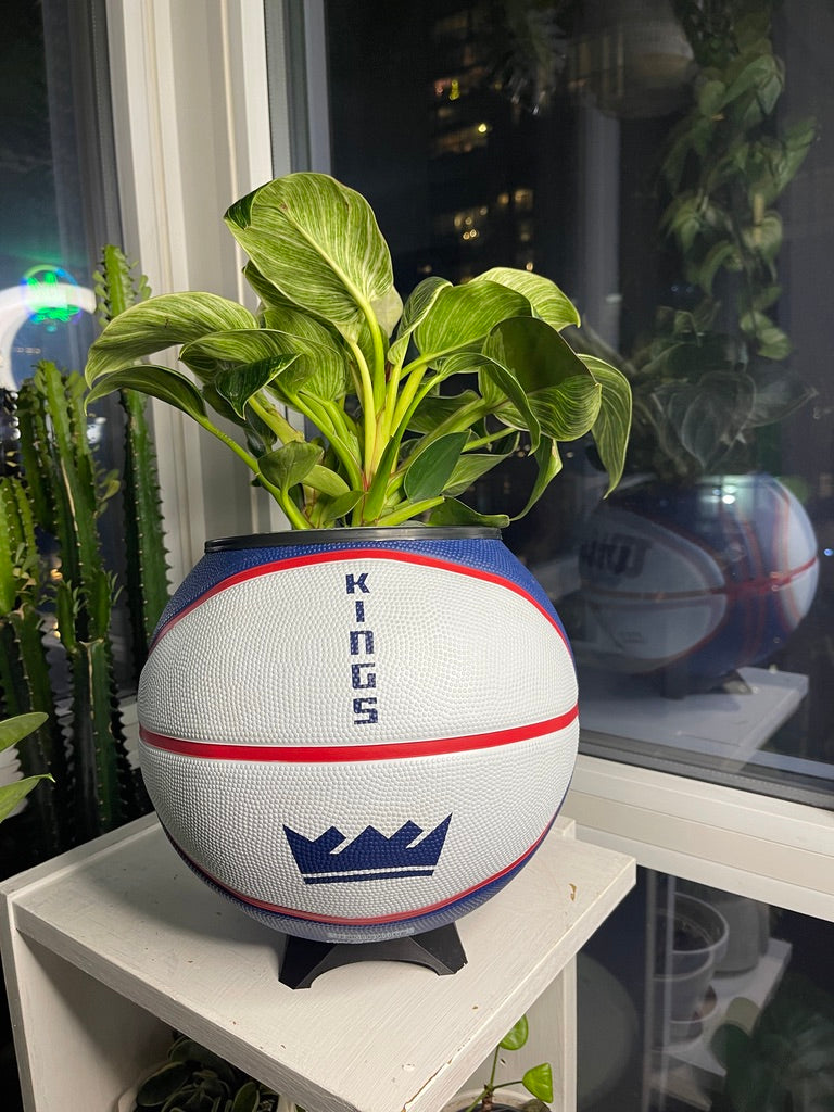 Large Basketball Planter (Sacramento Kings)
